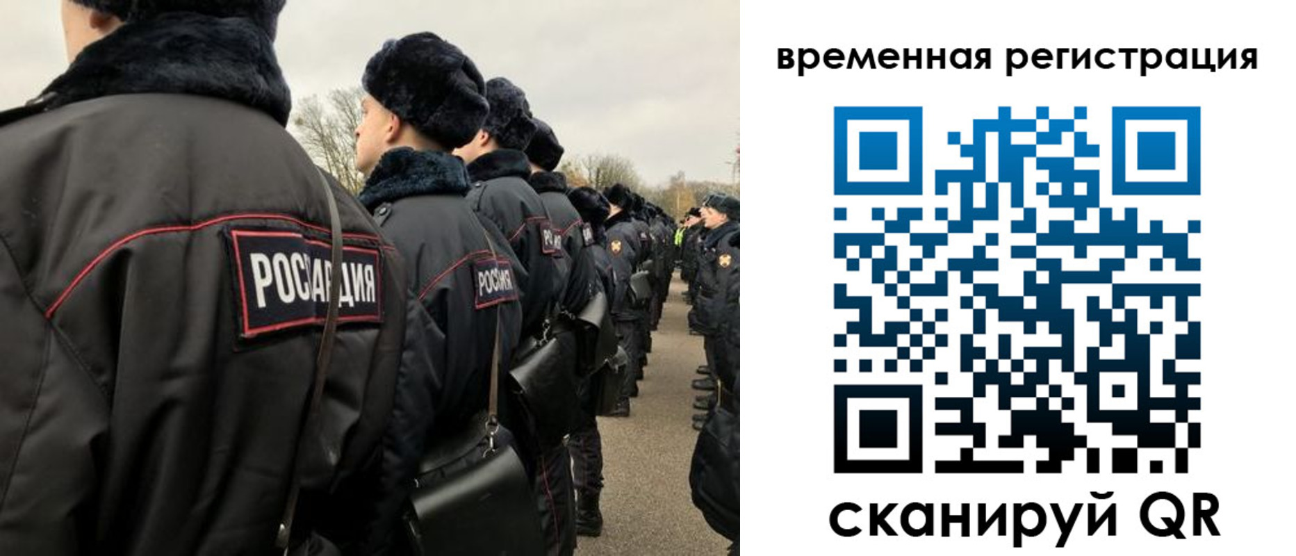 прописка гарантия в Купино